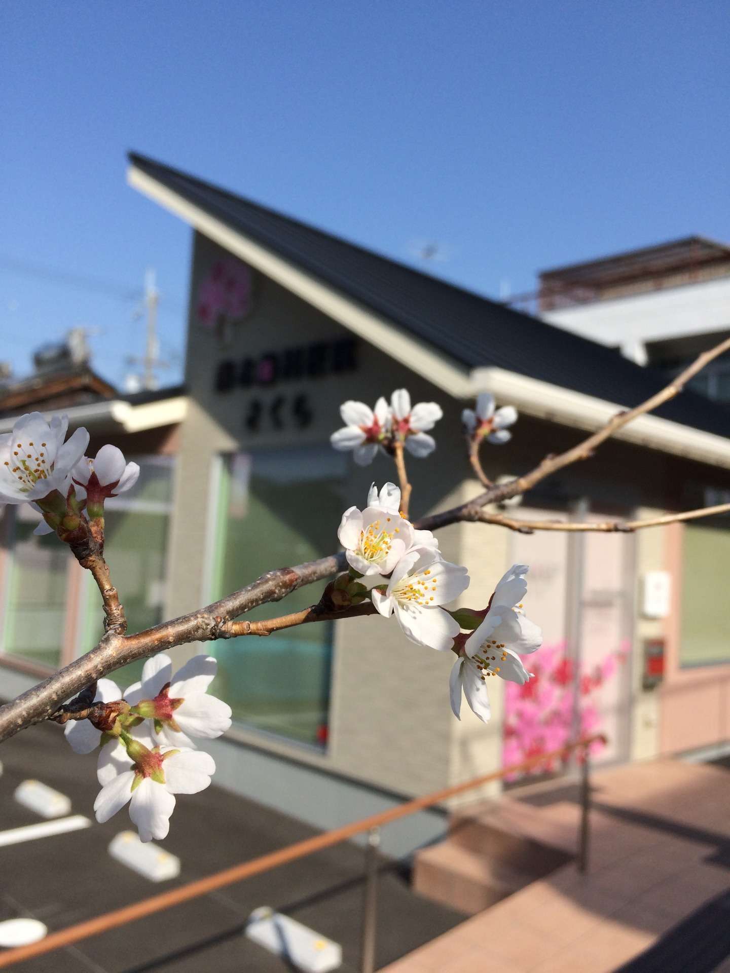 【謹賀新年】2022年☆藤本歯科医院さくら